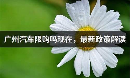 广州汽车限购政策最新2023年度_广州汽车限购政策最新2023年度通知